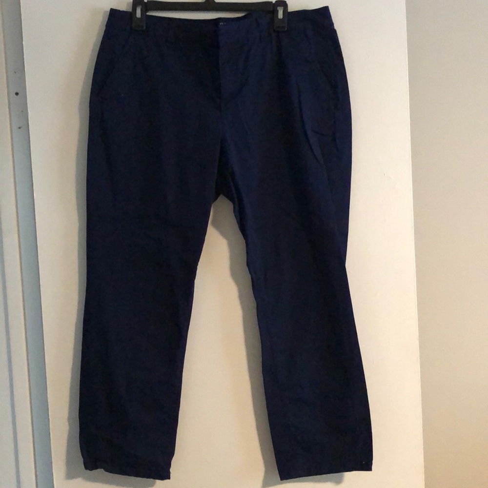 Blue a.n.a Crop Pants